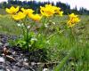 CroppedImage10080-bild0282